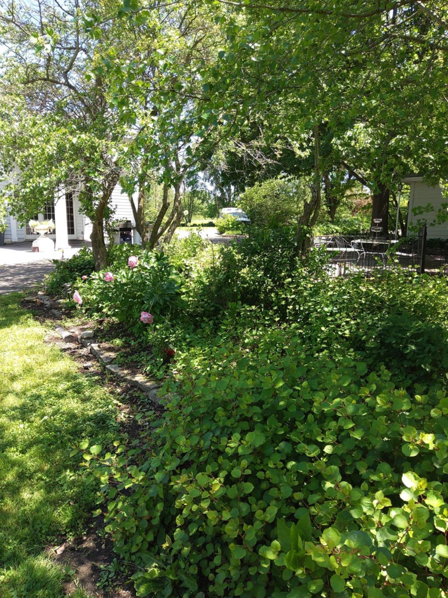 Inntiquity, A Country Inn Logansport Esterno foto